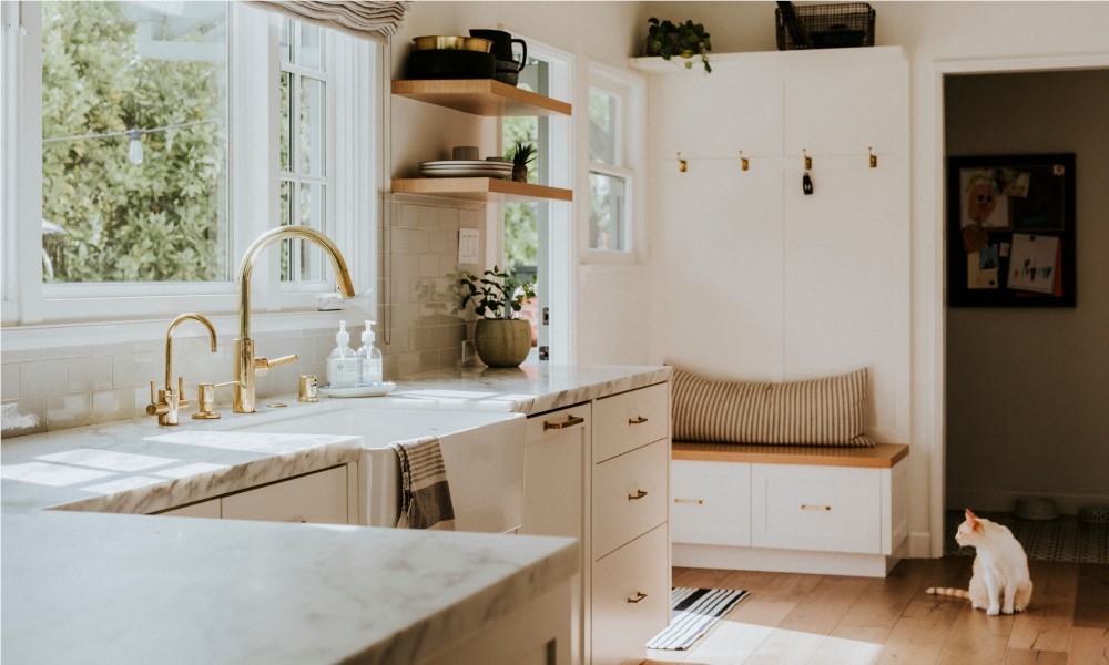 Sunlight coming through windows into a kitchen with a white cat on sitting on the floor looking toward an open sliding door