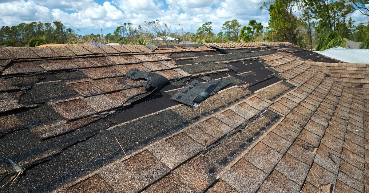 The roof of a house has missing and damaged shingles. Blues skies and trees are visible beyond the roof.