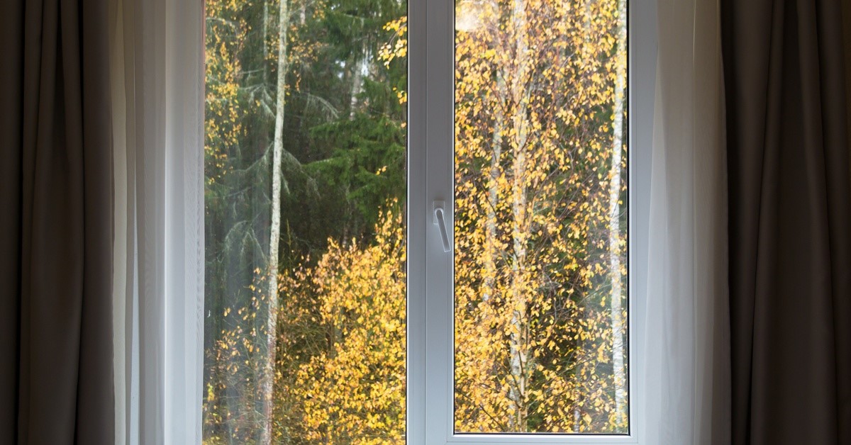 A window looking out to a forested environment. There are trees with green leaves and yellow ones.