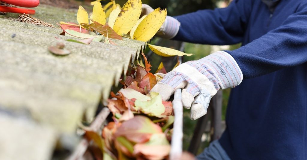 A person is standing on a ladder as they reach onto a gutter filled with leaves. The leaves are yellow, red, and brown in color.