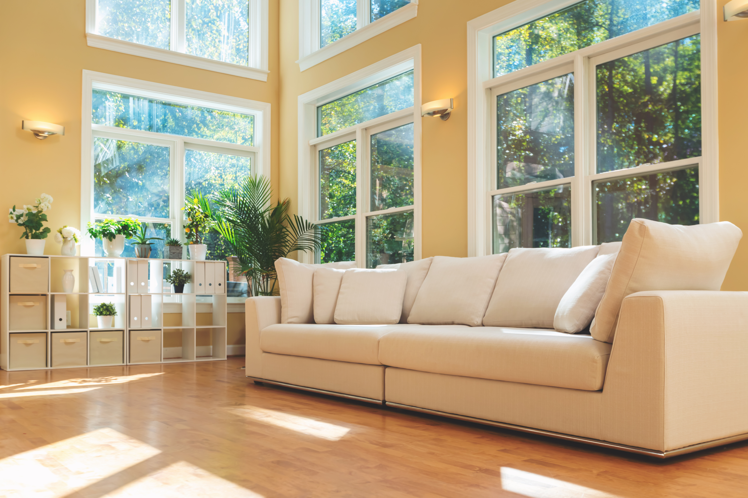 Energy-Efficient Windows About Section