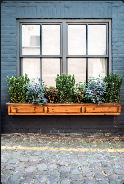 Garden Windows