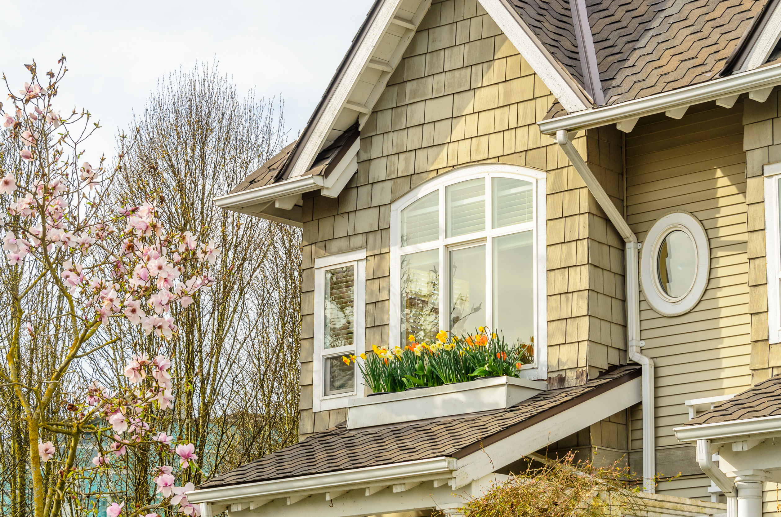 Energy-Efficient Windows Hero Background