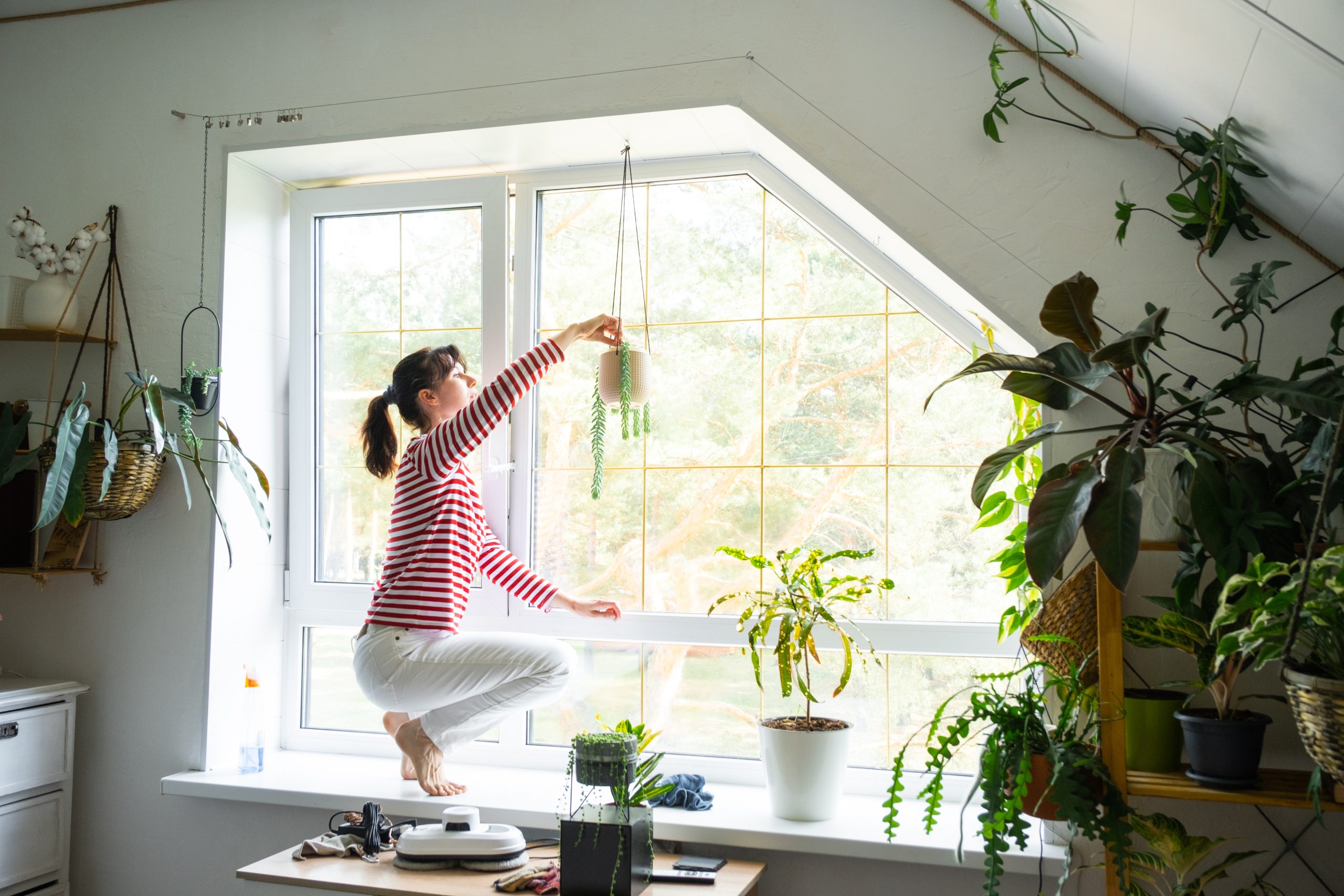 Garden Window Specifications