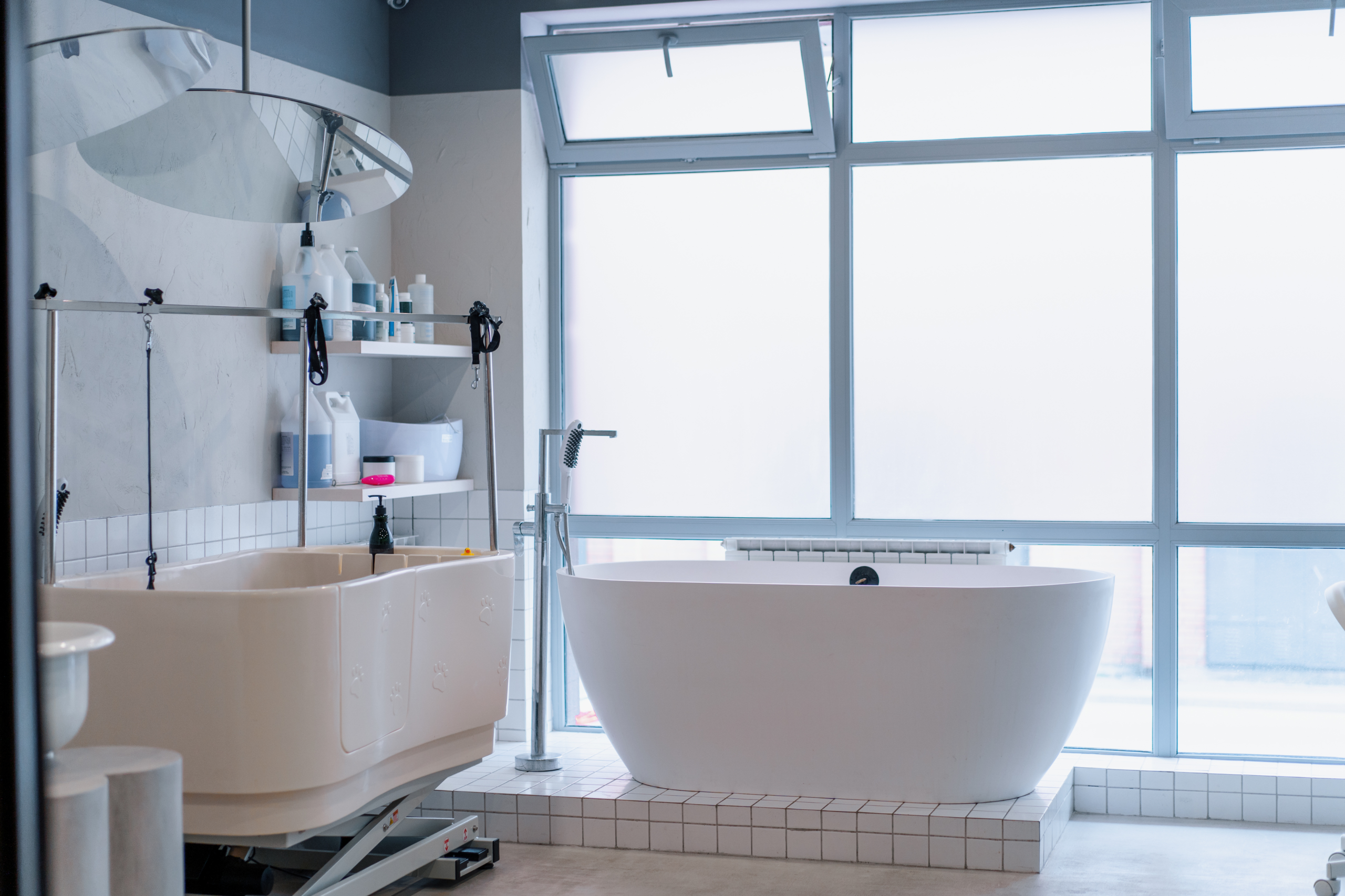 Walk-In Safety Tub Style